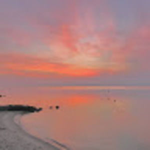 Meet your Posher, Serena